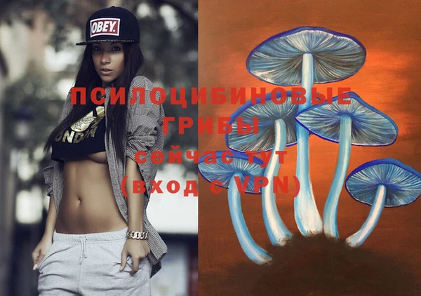 альфа пвп Лабытнанги