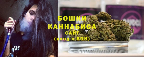 ГАЛЛЮЦИНОГЕННЫЕ ГРИБЫ Ладушкин