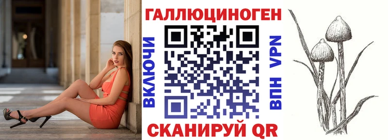 Галлюциногенные грибы Psilocybine cubensis  Томск 