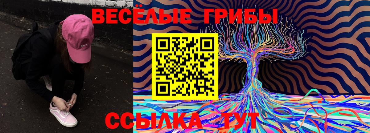 Псилоцибиновые грибы Magic Shrooms Томск