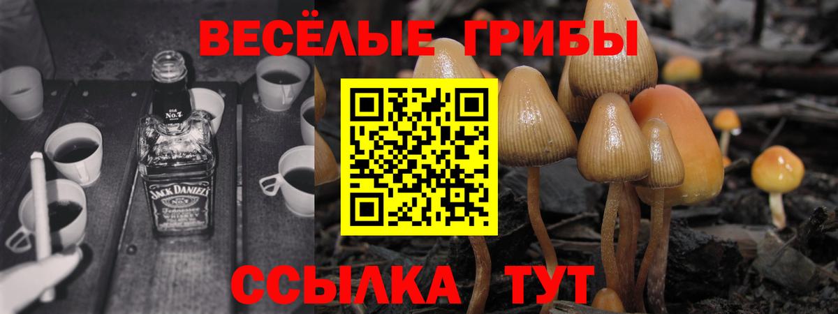 Псилоцибиновые грибы GOLDEN TEACHER  Галлюциногенные грибы Psilocybine cubensis  Томск  Вход с VPN 
